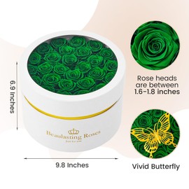 Preserved Roses Forever Flowers Real Roses in a Box Mother's Day Birthday Flowers for Her Mom Women Wife Valentine's Day, Green, 27 Piece