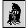 Handmade Cats Don't Care If You're CRAZY I Think They