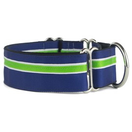 If It Barks - 1.5" Martingale Collar for Dogs - Adjustable - Nylon - Strong and Comfy - Ideal for Training - Made in USA - Custom, Finley
