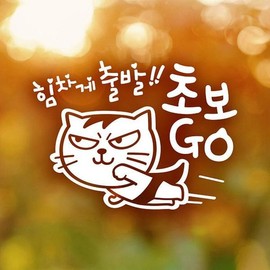 힘차게출발 초보 반사시트지 자동차스티커 Energetic Start Beginner Reflective Sheet Car Sticker