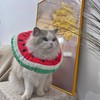 1 Piece Watermelon Anti-Licking Ring And 1 Piece Collar, Creative