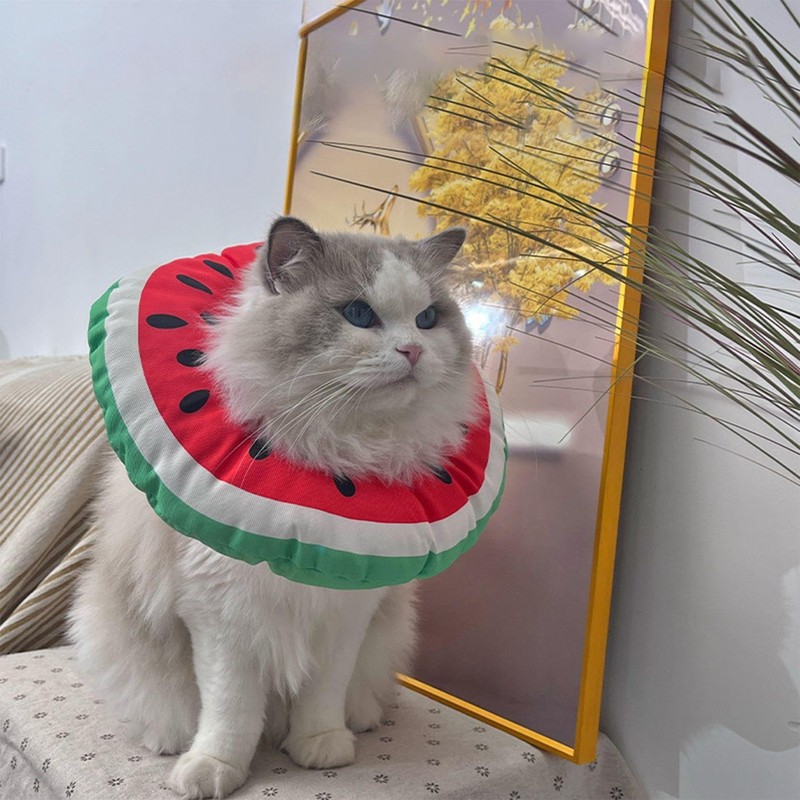 1 Piece Watermelon Anti-Licking Ring And 1 Piece Collar, Creative