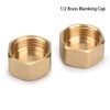 nutmanel Brass Cap 1/2 Inch Female Thread, Brass Blanking Plug