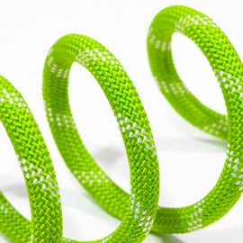 WePet Dog Training Slip Leash, No Pull, Durable Reflective Lead, Puppy Heavy Duty Loop Rope, Comfortable Handle, 6 ft, 1/2 inch, diam. Green/White