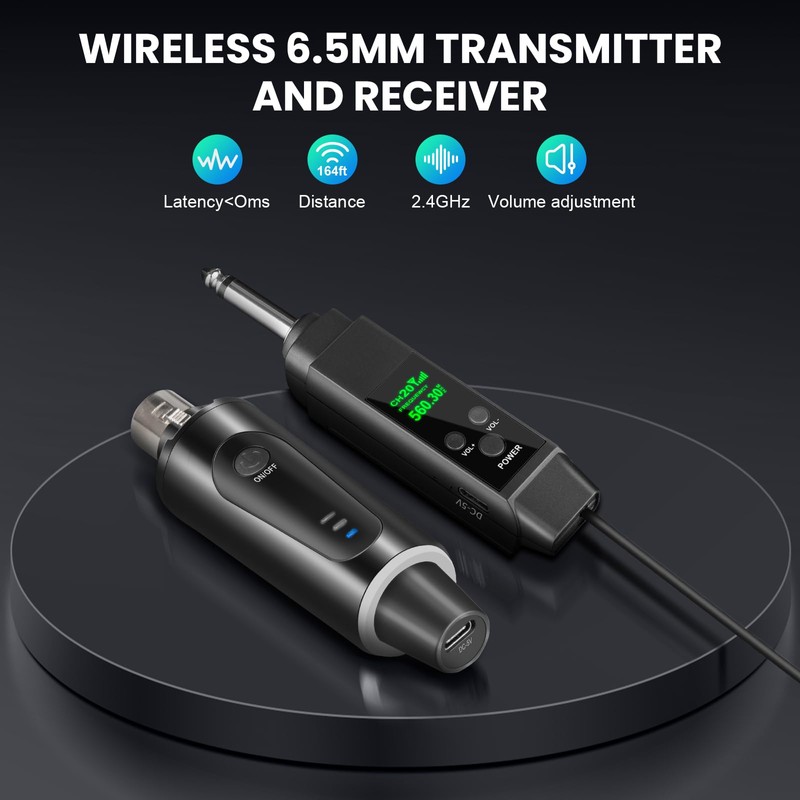 Depusheng 2.4GHz Wireless Microphone System Transmitter & Receiver with Volume