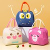 Oxford Portable Insulated Thermal Cooler Lunch Box Carry Picnic Case