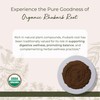 Starwest Botanicals Rhubarb Root Powder Organic - Dried Herb for