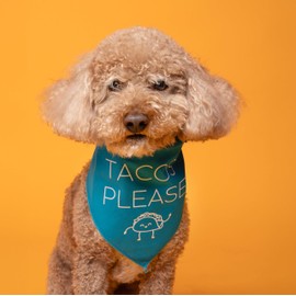 Taco Please Dog Bandana | 100% Cotton Adjustable Triangle | Made in USA | Cinco de Mayo | Fun Mexican Food Accessory | Taco Tuesday |Orange, X-Small (1059)