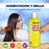 Shampoo y Aondicionador Nefertiti Cabello Seco O Dañado Extracto De