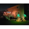 LIGHTSHARE Lighted Palm Tree, 5FT, Green Leaves and Lights