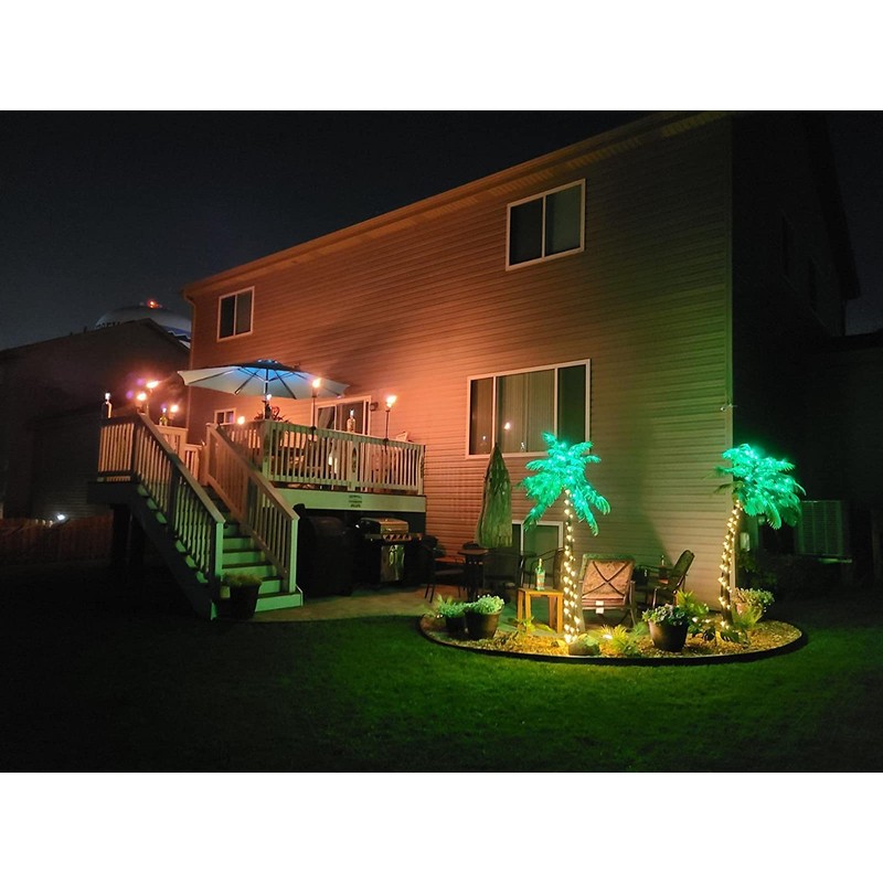 LIGHTSHARE Lighted Palm Tree, 5FT, Green Leaves and Lights