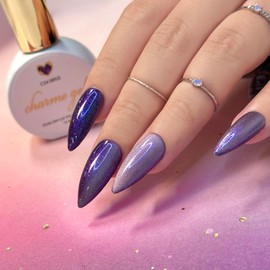 Daily Charme C23 Astra Velvet Galaxy Cat Eye Magnetic Gel Nail Polish 15ml, Soak Off UV Led Gel Nail Polish, Home DIY/Nail Salon Manicure (Deep Plum Purple)