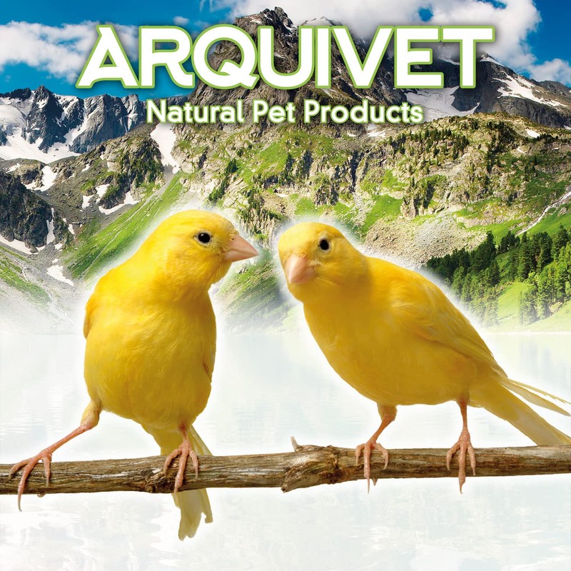 Arquivet Plastic Bird Drinker - Bird Water Container - 13cm