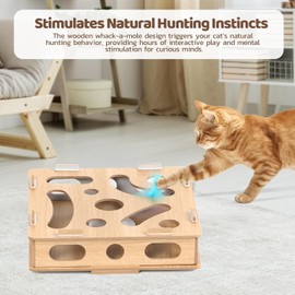 Kimwina Interactive Puzzle Cat Toys for Indoor Cats: Cat Puzzle Toy Box with Electric Rotating Feather, Low-Noise Motor, Durable Anti-Hair Snag Design (Medium)