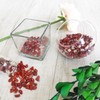 ZHIYUXI Red Jasper Chips Fish Tank Gravel Vase Filler Stones