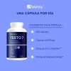 Máximo Vigor con Wellthy Testo 7: Soporte Avanzado para Hombres