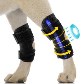 Dog Leg Braces for Back Leg, Dog Knee Brace for Rear Hock Ankle, Older Dogs Hind Leg Hock Wrap for Torn Acl Hind Leg (M, Black)