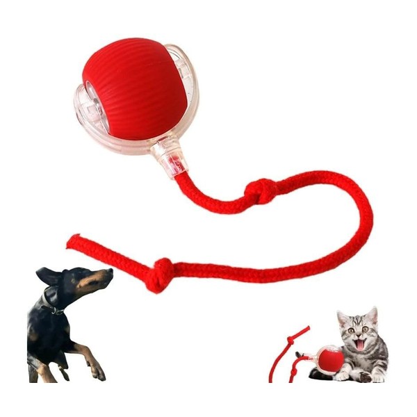 Dog/Cat Automatic Ball - Activated Automatic Moving Toy, Rechargeable, Self