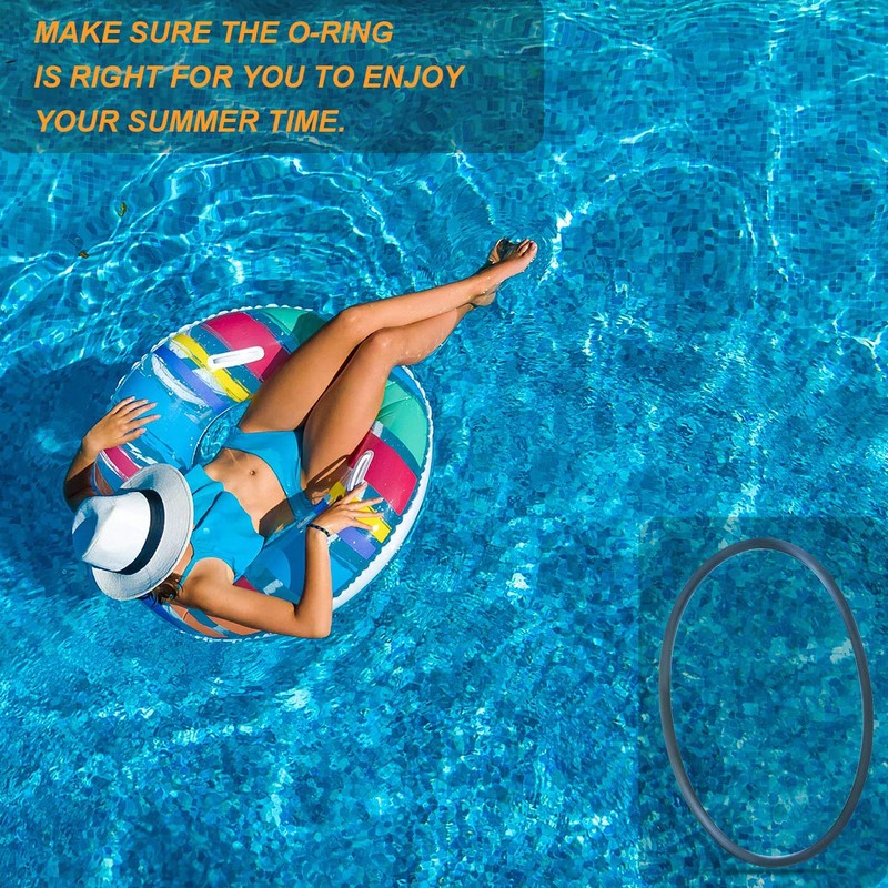 192320 O-Ring Bulkhead Replacement Pool and Spa Filter (1, 192320)