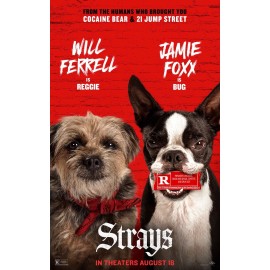 Strays, 2023, Original, DS, One Sheet 27”x40” Advance, Rolled,Near Mint