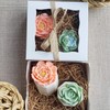 Orange Flower Pot Honeysuckle Soap Succulent Gift Box Women/Care Package/Birthday/Friendship