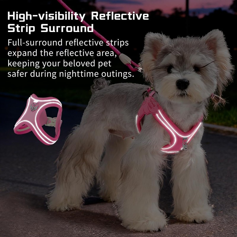 LUVMOJO Pink Cat Harness and Leash Set for Small Dogs