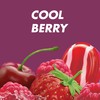 HALLS Throat Soothing (Previously HALLS Breezers) Cool Berry Sugar Free