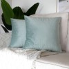Artcest Set of 2 Decorative Velvet Throw Pillow Cases, Soft
