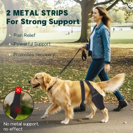 GoGoPaw Dog Knee Brace for Torn ACL Hind Leg – Support Dog Leg Brace for Back Leg with 2 Stabilizers, Adjustable Hip Support to Reduces Pain Luxating Patella, Ligament Injuries, CCL (Right Leg, XL)