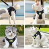 Adjustable Cat Harness, Escape Proof, Adjustable Cat Harness with Lead,