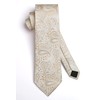 HISDERN Men's Tie Wedding Paisley Ties Handkerchief Flowers Elegant Classic