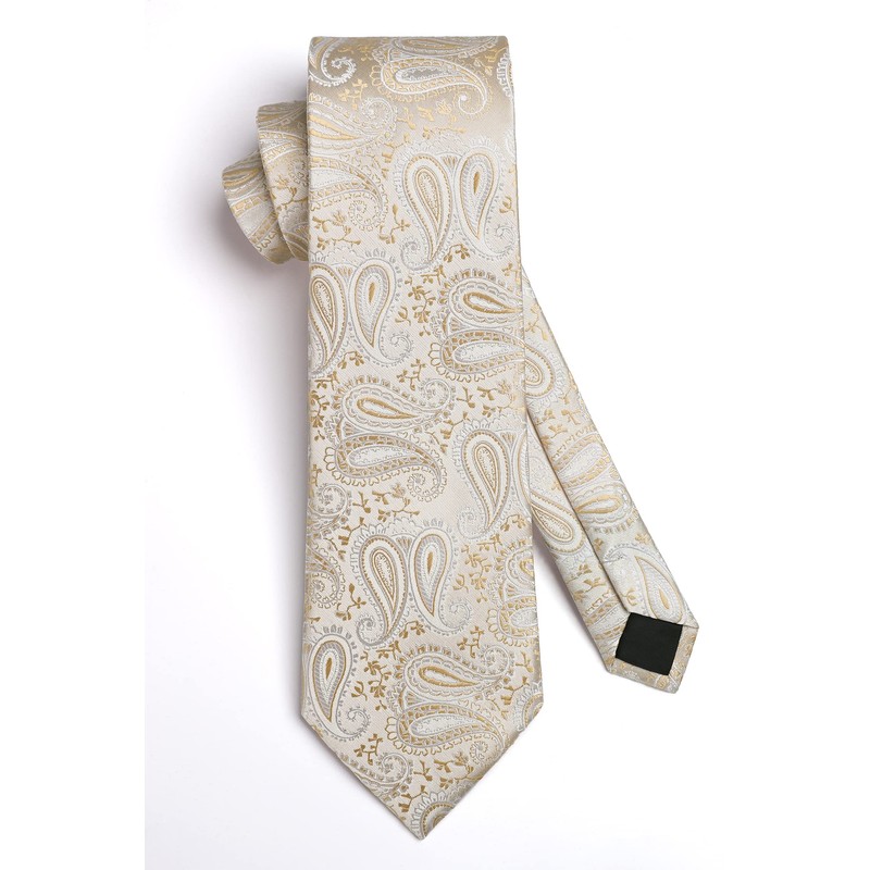 HISDERN Men's Tie Wedding Paisley Ties Handkerchief Flowers Elegant Classic
