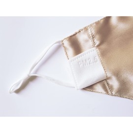 100% Mulberry Silk Face Mask Covering Men & Women Reusable with Ear loops Nose Wire Filter (Normal, Champagne)