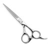 JW CT Professional Razor Edge Series - Barber Hair Cutting