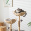 PISARRY Modern Cat Tree for Indoor Cats, Large Adult 46"