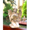 Solar Powered Fairy Angel with Wings and Solar Glowing Jar