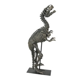 Things2Die4 Resin Tyrannosaurus Rex Fossil Bones Home Decor Dinosaur Skeleton Sculpture Art, Brown, 21.75 Inch