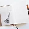 ALLEX Little Skinny Scissors for Office 4.7", All Purpose Slim