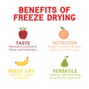 Nature's Turn Freeze-Dried Fruit Snacks, Pear Crisps, Pack of 6