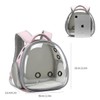 Bearded Dragon Lizard Backpack Carrier with Harness and Leash Set,