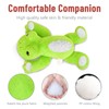 Niuniu Daddy 20" | 3.3 Pound Frog Weighted Stuffed Animals
