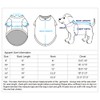 Blueberry Pet 4 Patterns Soft & Comfy Dog Dress