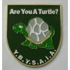Mason Square Market are You A Turtle Car Emblem