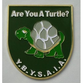 Mason Square Market are You A Turtle Car Emblem