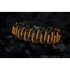 Brotree Paracord, 0.08 inch (2 mm), 3-Strand Cores, Bobbin, Tent,