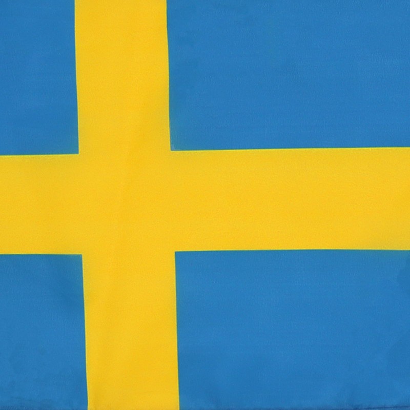 AZ FLAG Sweden Flag 18'' x 12'' cords - Swedish