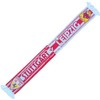 Generisch Stuttgart/Leipzig Pokal Semifinals 2024/2025 Football Scarf, Red, white, black,
