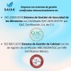 Cartílago Tiburón Suplemento Alimenticio 100 Puro Cápsulas 500 Saisa Herbal