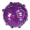 TRIXIE TX 33677 Ball, Thermoplastic Rubber Diameter: 7 cm