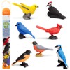 Toob - Backyards Birds